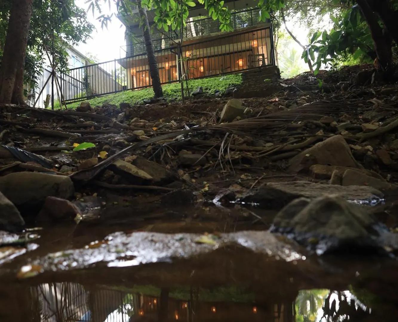 Forest Face Lodge Gurudeniya