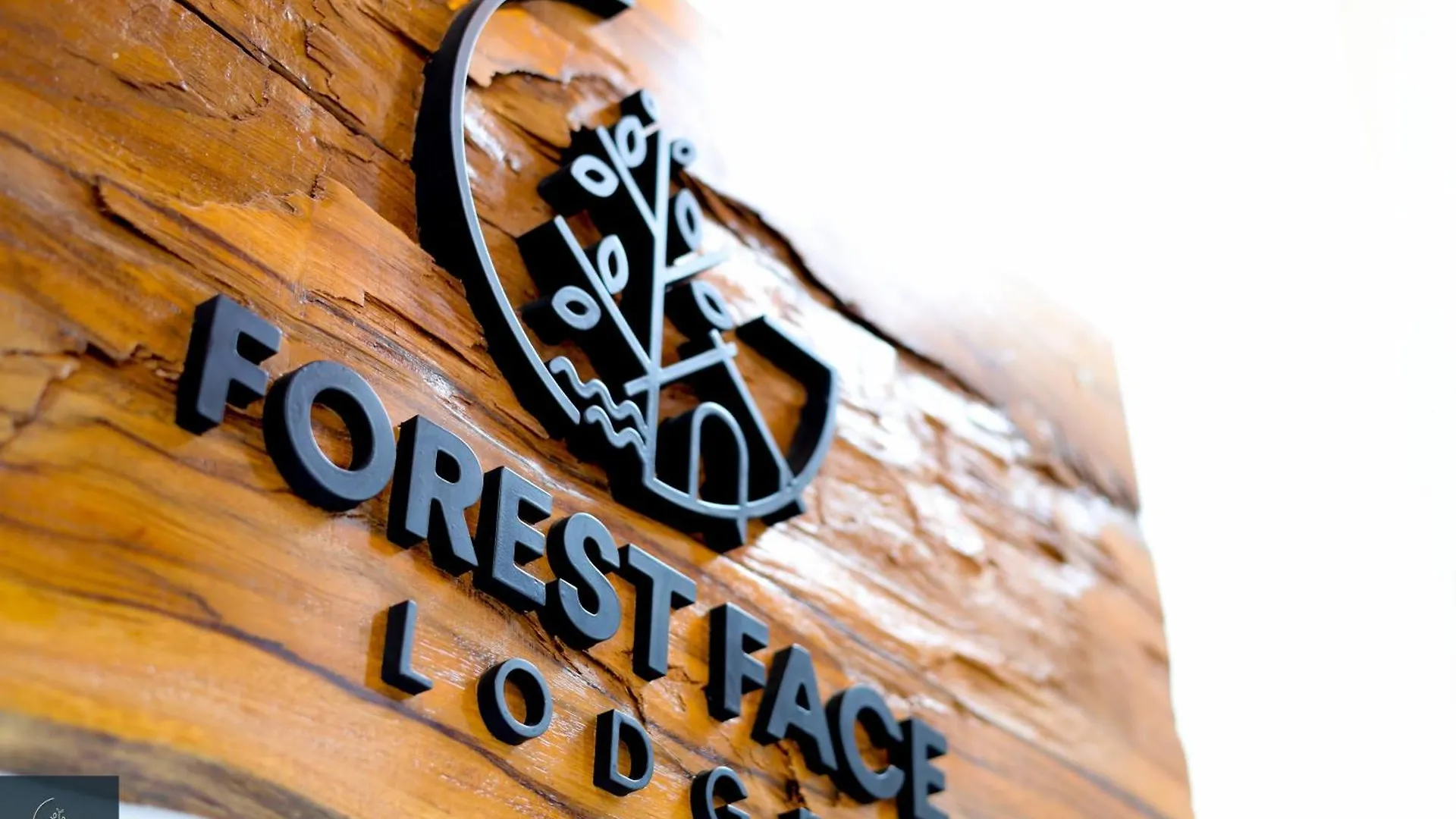 Forest Face Lodge Gurudeniya